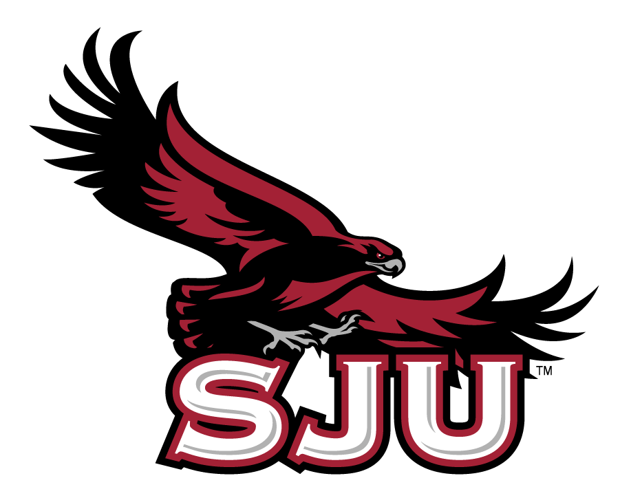 St. Joseph's Hawks 2002-2018 Secondary Logo t shirts iron on transfers